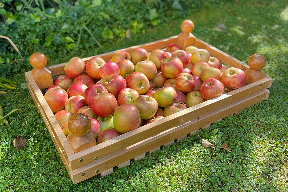 Bednička na ovoce plná jablek