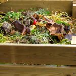 Zahradní odpad jako poklad: Jak přeměnit listí a rostlinné zbytky na zdroj živin a prvky do zahrady