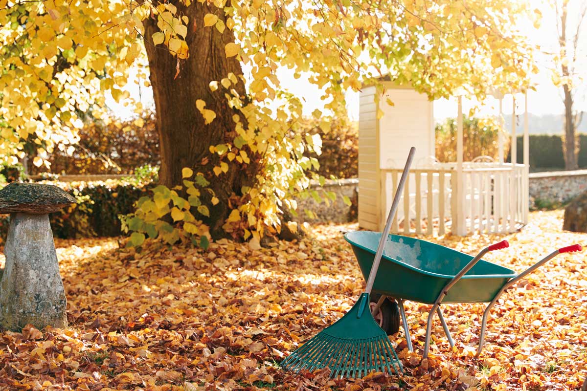 Jak využít listí a posklizňových zbytků ze zahrady