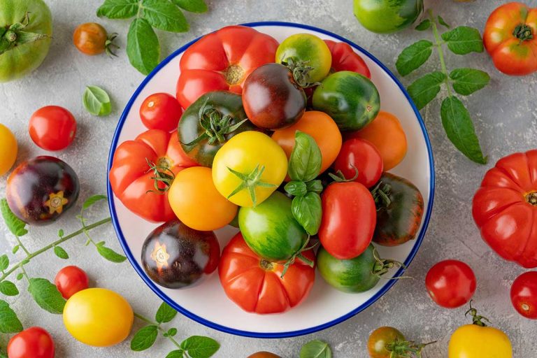 Která rajčata jsou vhodná pro dlouhodobé uskladnění?  Zkušení pěstitelé vás provedou kouzelným světem rajčat