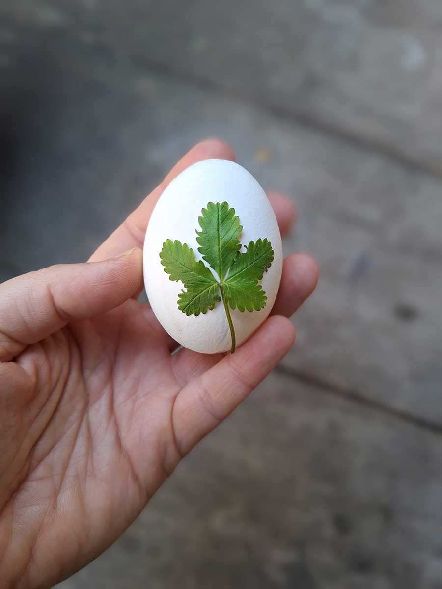 Přírodně ozdobené velikonoční vajíčko listem ze zahrady