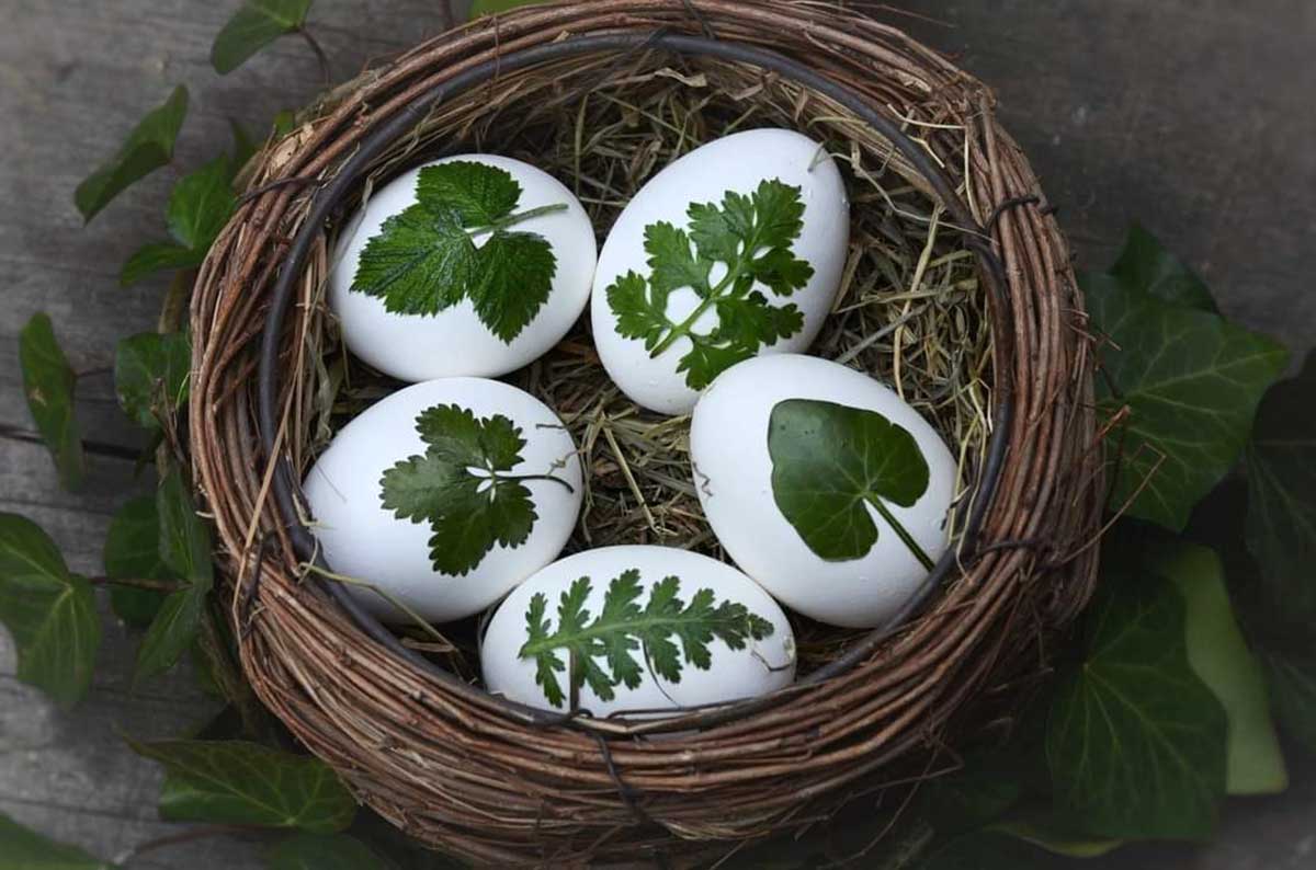 Velikonoční vajíčka zdobená přírodními listy ze zahrady