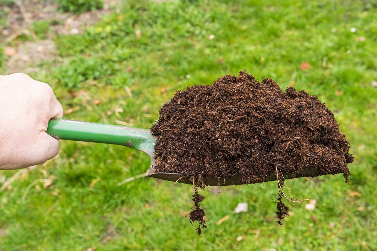 Zapracování kompostu do zkypřené půdy
