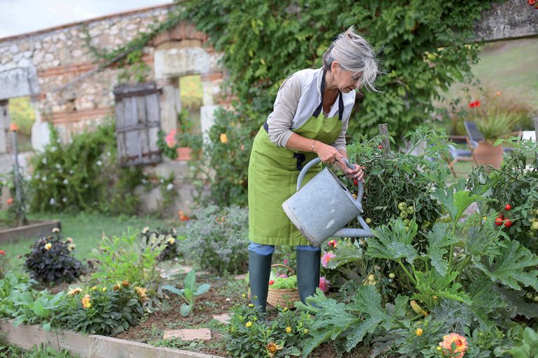 Bioochrana zahrady svépomocí: Vyzkoušejte ověřené recepty, těchto 30 rostlin vám pomůže!
