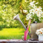25 tipů pro jarní zahradu, balkon či terasu: Vyberte si ty nejkrásnější kvetoucí rostliny
